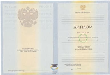 Диплом ИСЭПиМ 2010-2011 годов